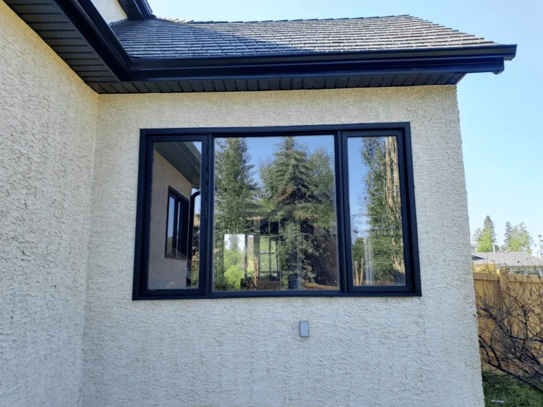 Black Living Room Window Replacement